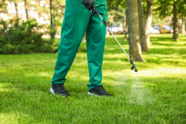 Duluth Lawn Treatment