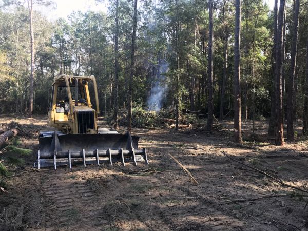 Duluth Land Clearing